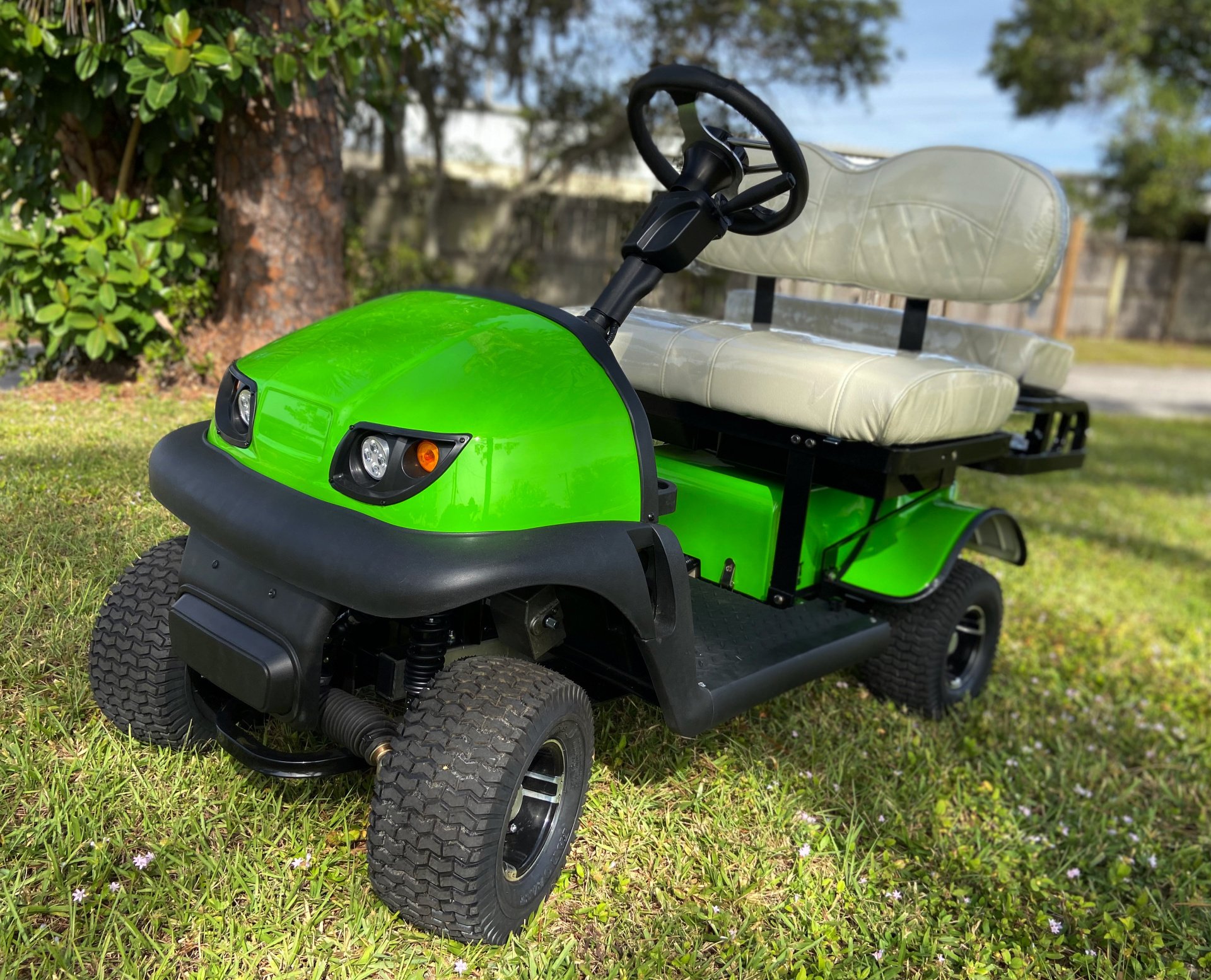 Cricket Golf Carts Strongsville Ohio 1