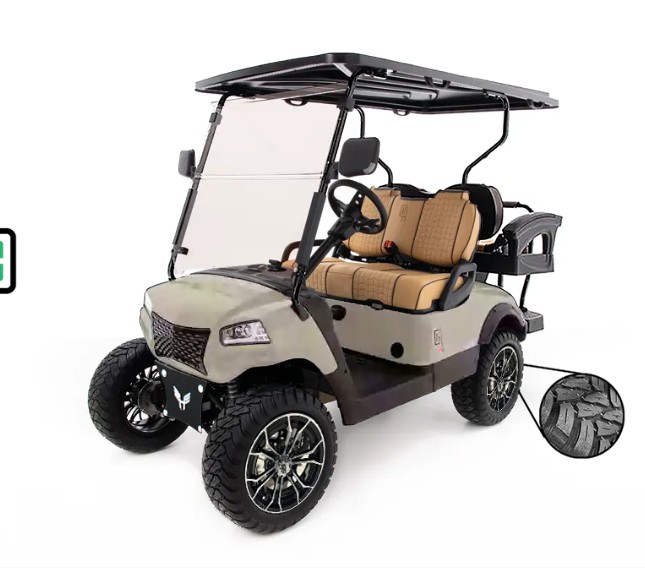 Honor LSV Golf Carts Champagne