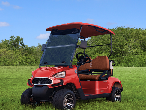 VCarts Golf Cart Mentor Golf Carts & Trailers (4)