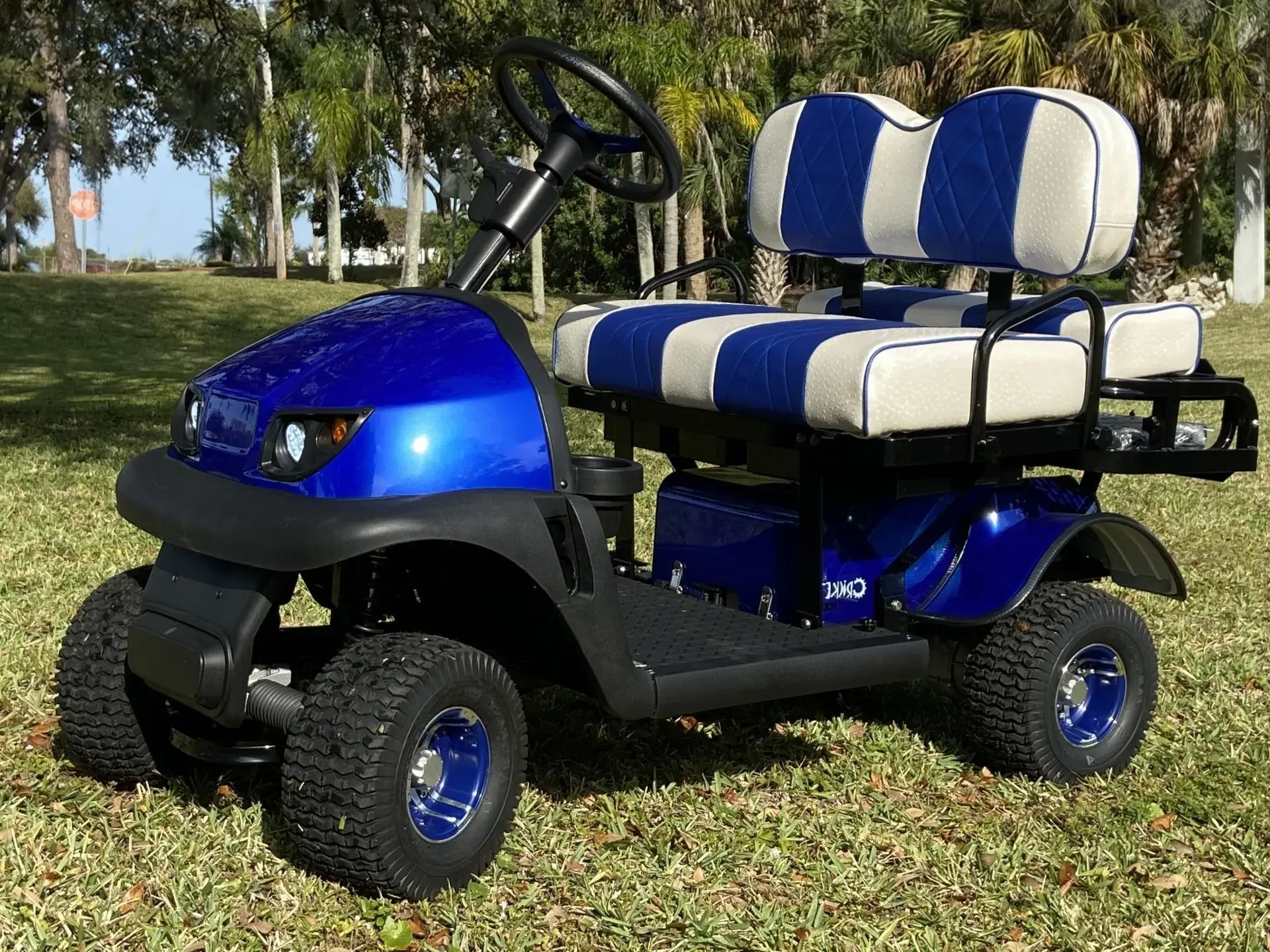 Cricket Golf Carts RX5 e1771784961242.webp