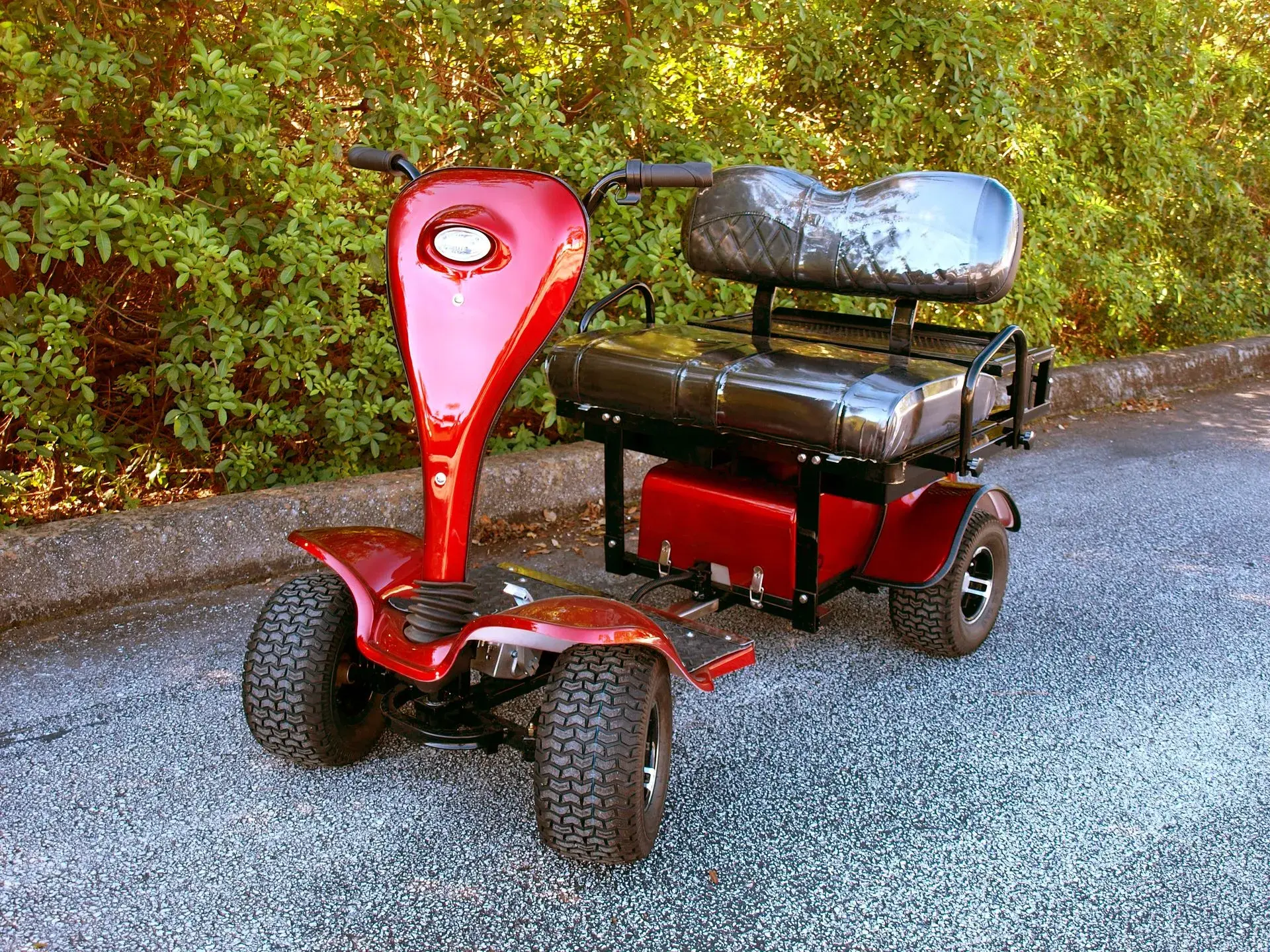 Cricket Golf Carts e1771784789222.webp