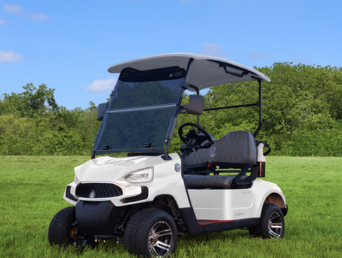 VCarts Golf Cart Mentor Golf Carts Trailers 5.png