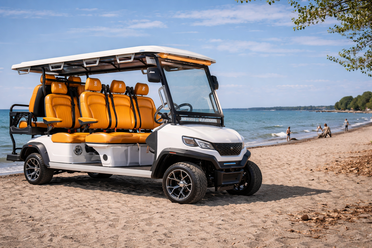 conquest s6 golf cart in ohio