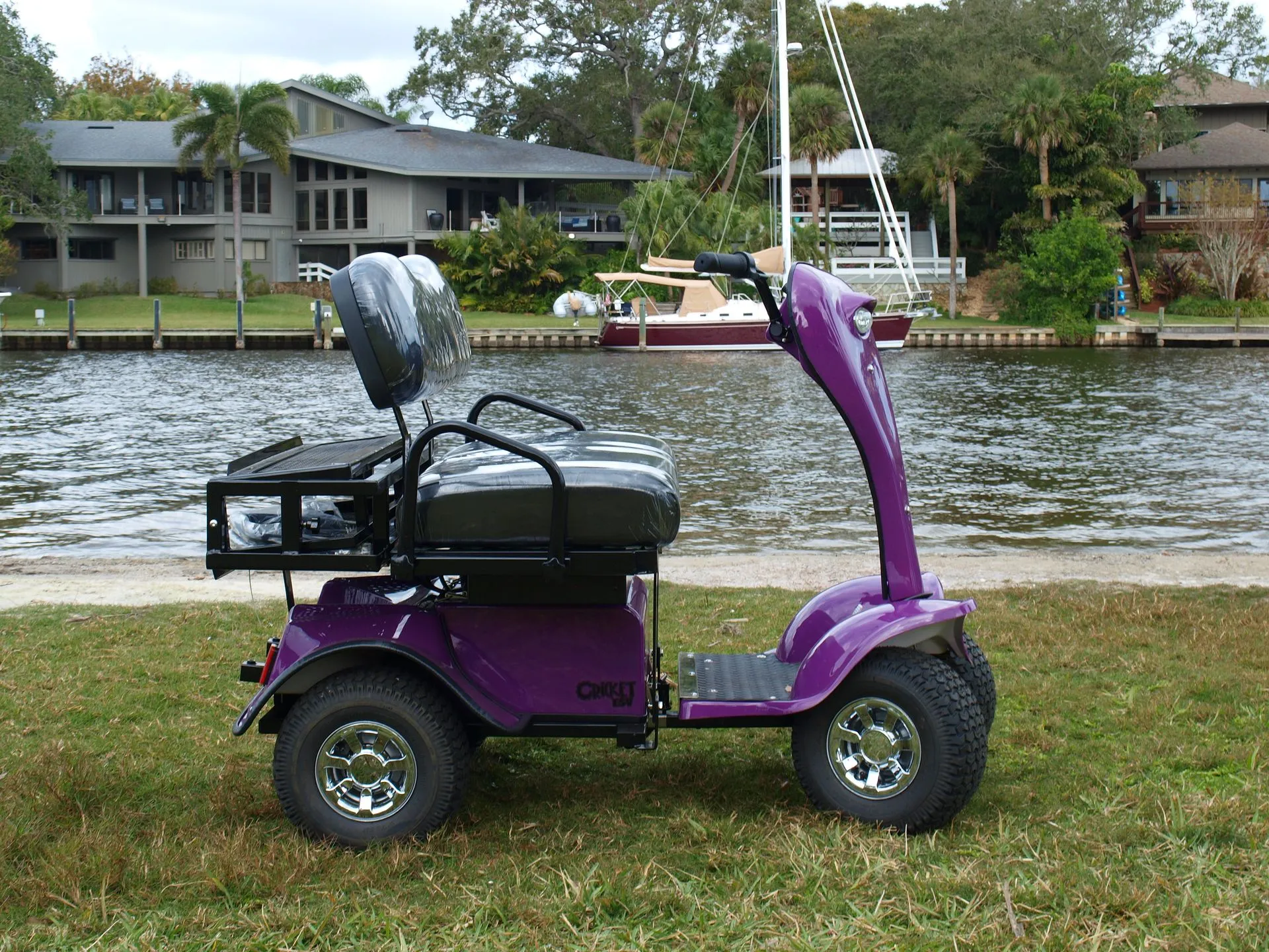 cricket esv golf cart