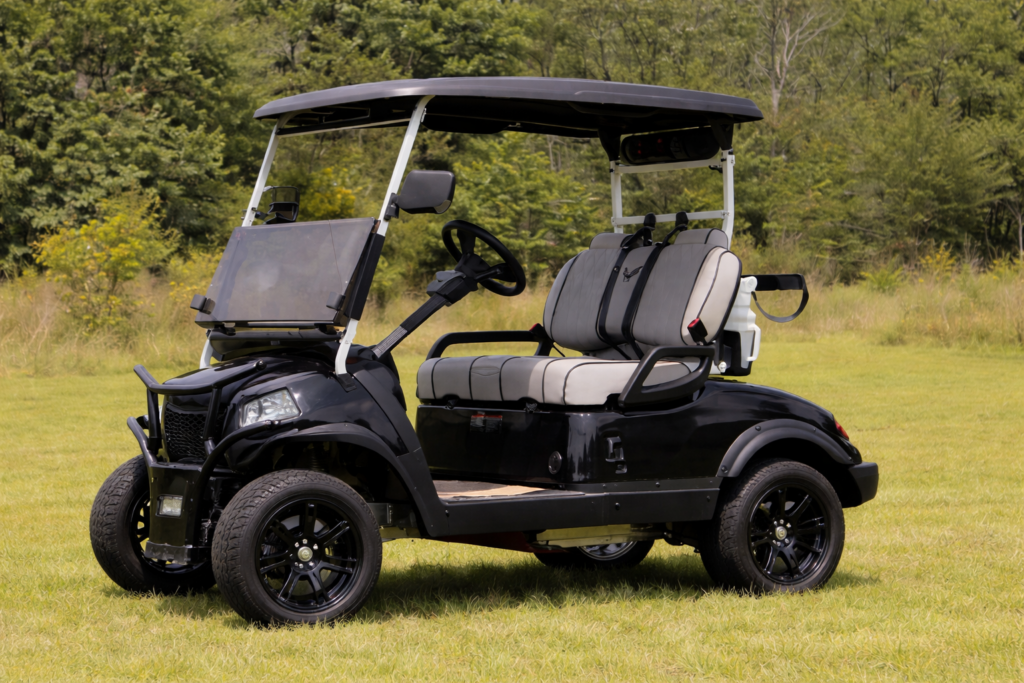 honor country club 2 seater Mentor Golf Carts & Trailers 2