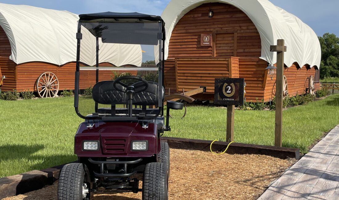 lifted cricket mini golf carts cricket locust SX3 model scaled 1100x650