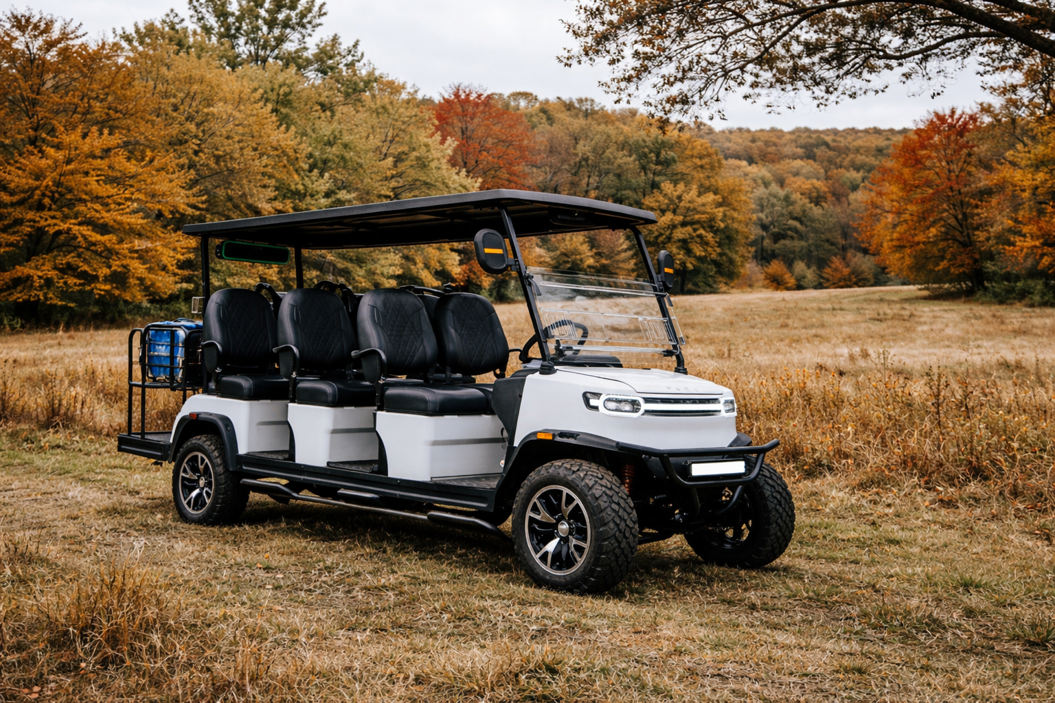 teko triumph golf carts