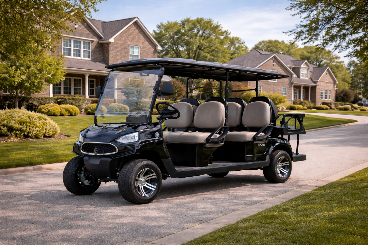 vcarts e series 6 passenger