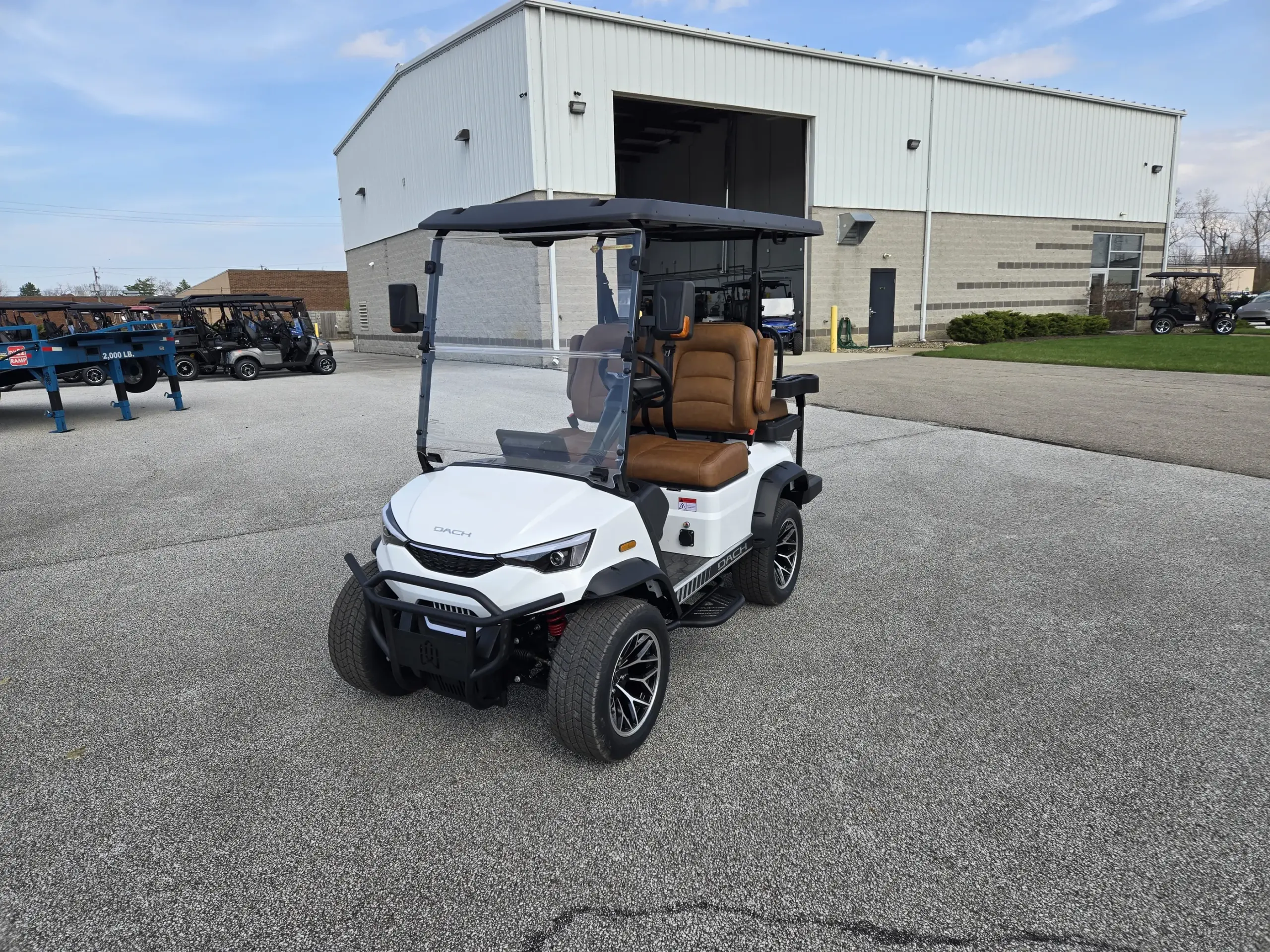 dach falcon golf cart Mentor Golf Carts
