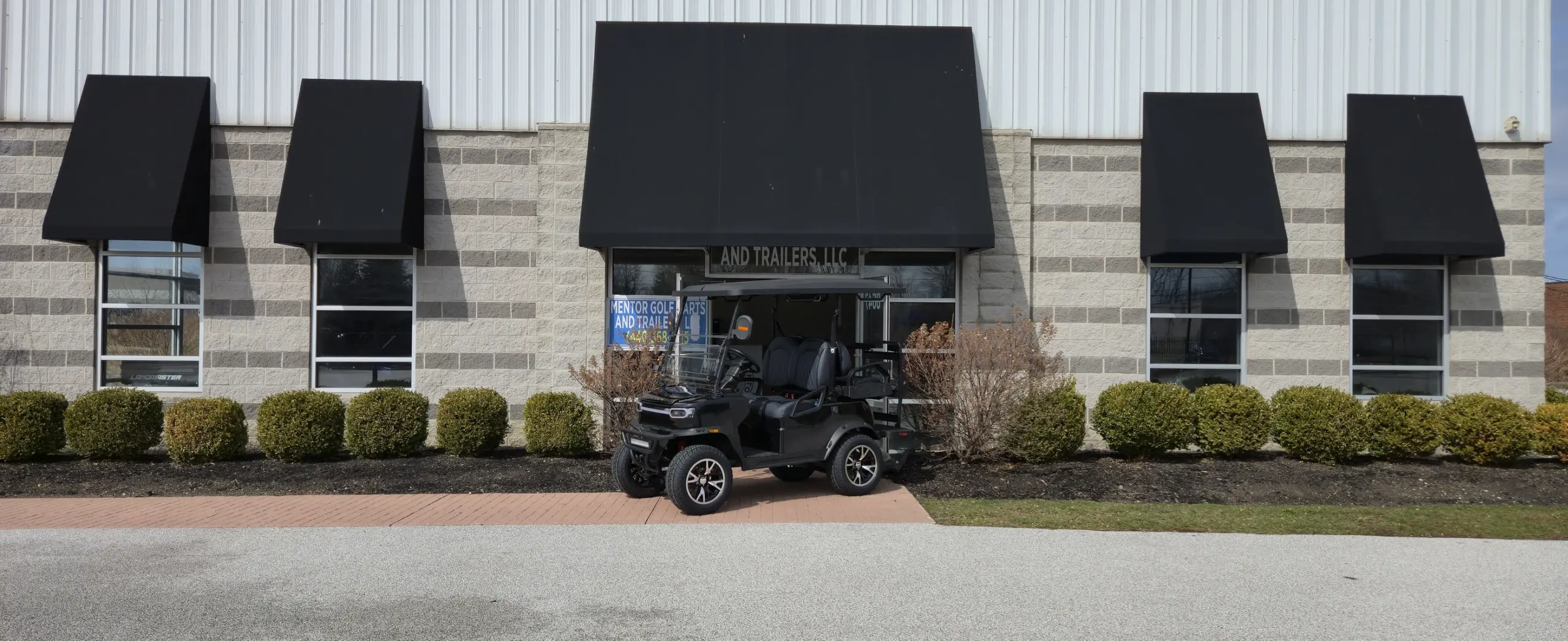teko ev golf cart Wadsworth Ohio