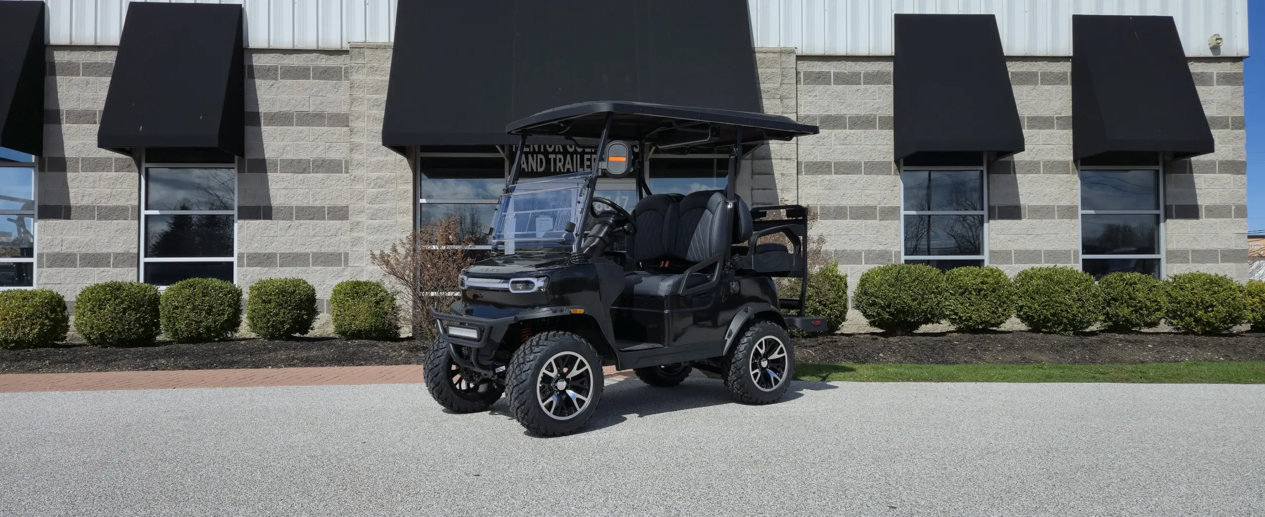 teko ev golf cart for sale Wadsworth Ohio
