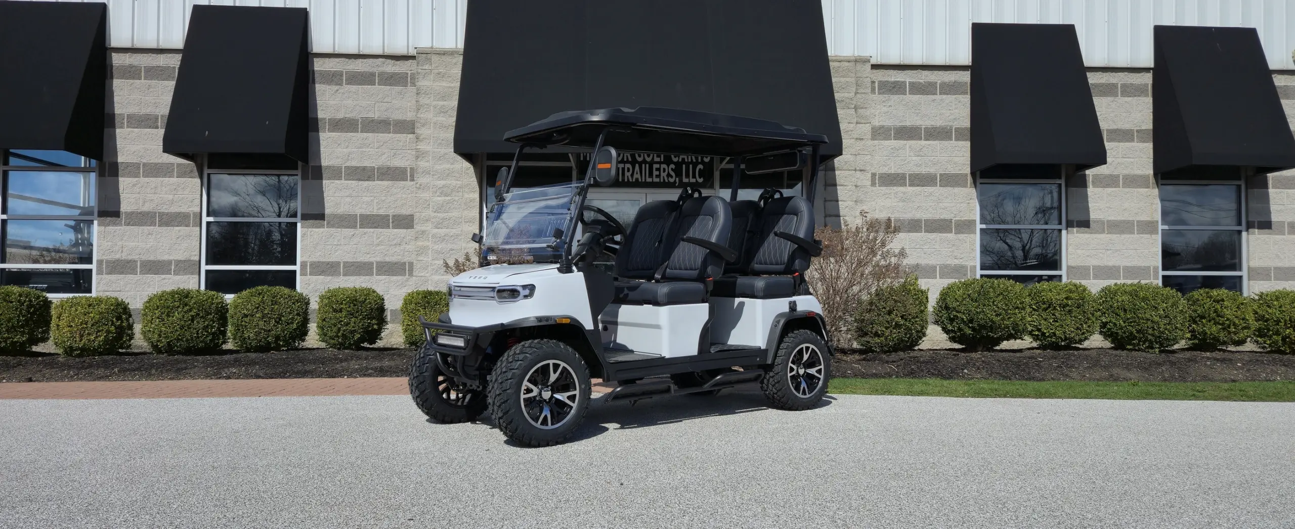 teko golf cart for sale Strongsville Ohio
