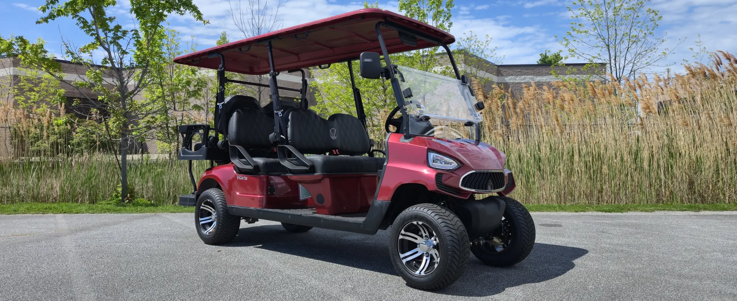 6 seater electric golf cart mentor golf carts & trailers