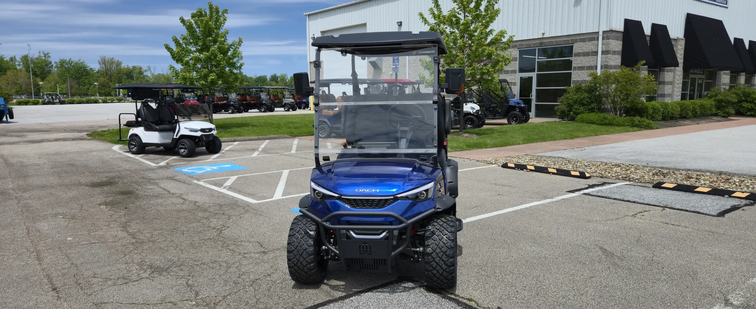 dach falcon golf cart​ for sale madison ohio