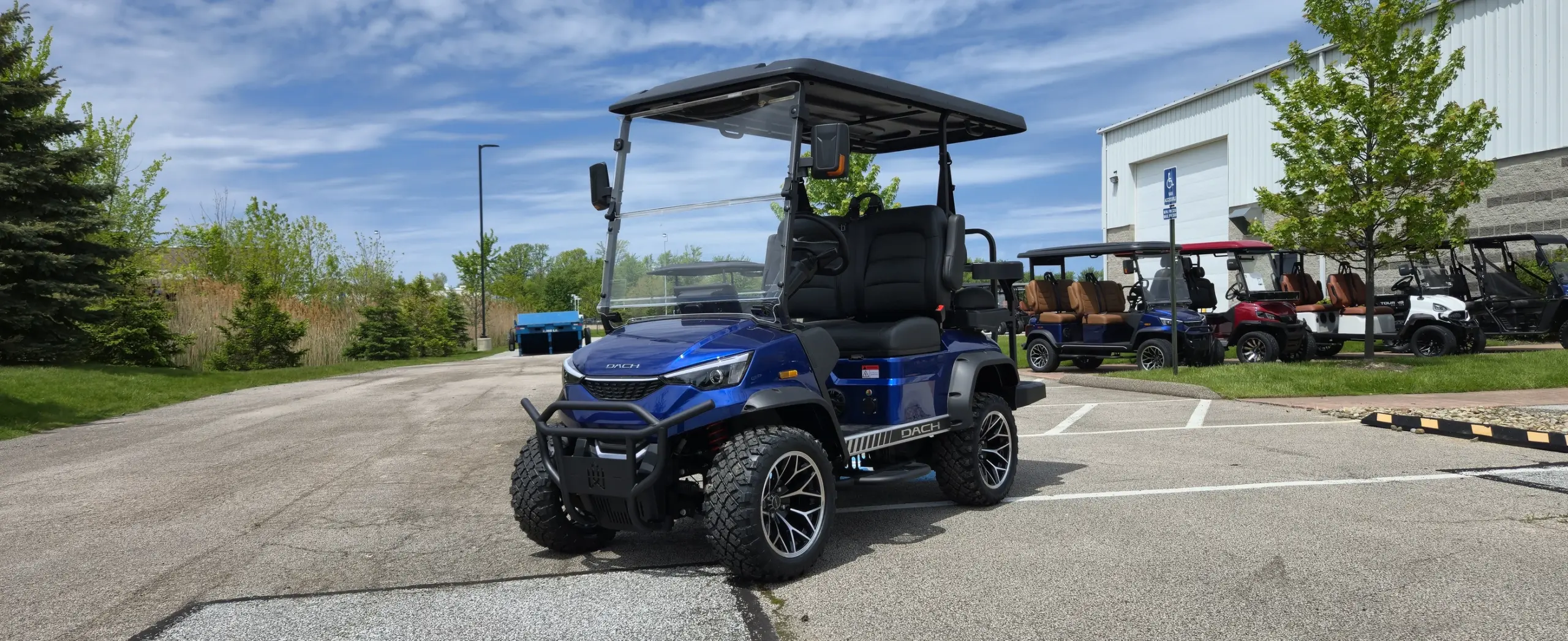 dach falcon golf cart for sale
