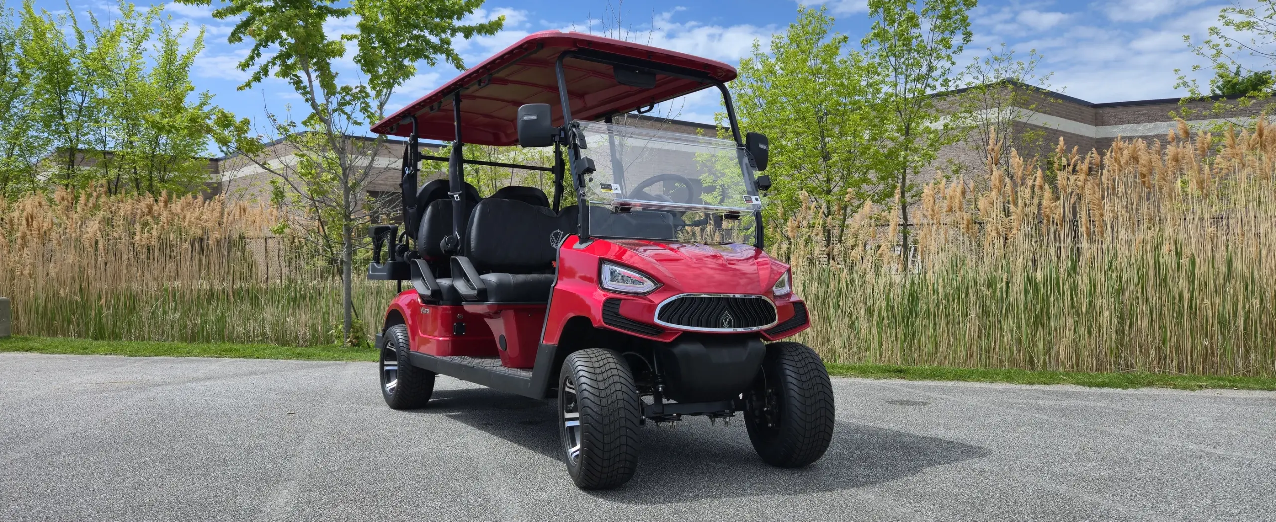 golf cart 6 seater mentor golf carts & trailers