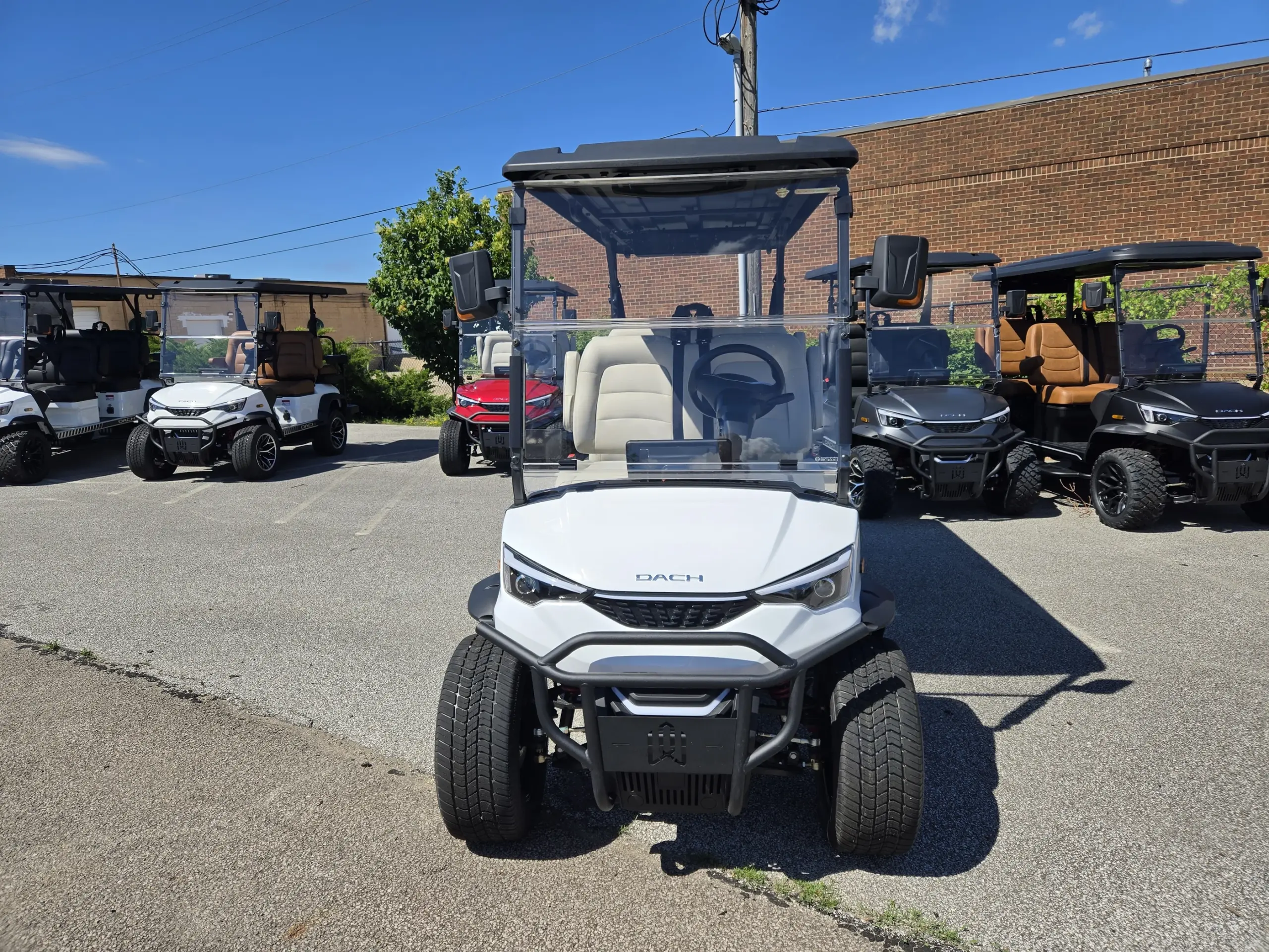 electric golf cart mentor on the lake ohio