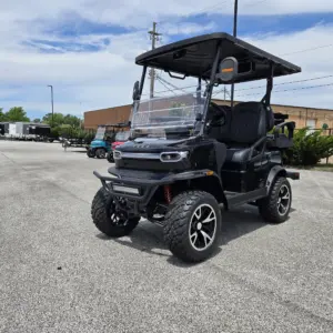 electric golf carts for sale mentor on the lake ohio
