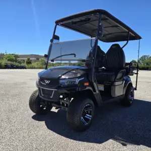 golf cart online mentor golf carts & trailers