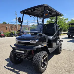 4 seat golf cart​ madison ohio