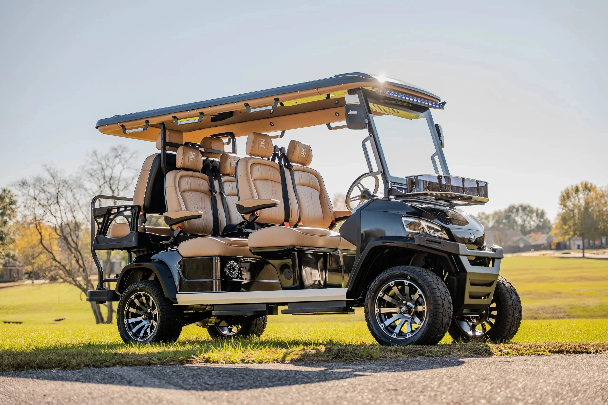 Conquest S60L Golf Cart for sale perry ohio